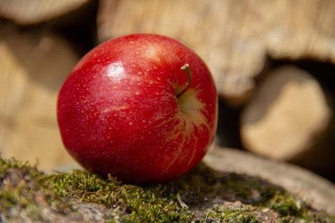 Apples and Oak Fragrance Oil Heavenly Scents
