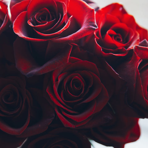Fresh Cut Roses Fragrance Oil Heavenly Scents