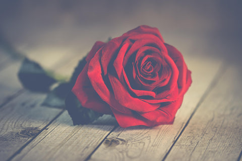 Sandalwood Rose Fragrance Oil Heavenly Scents