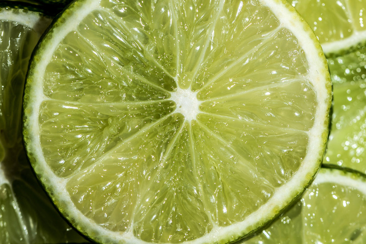 Vanilla Lime Fragrance Oil Heavenly Scents