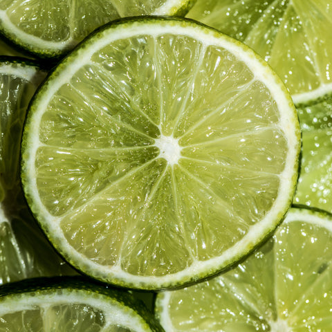 Vanilla Lime Fragrance Oil Heavenly Scents